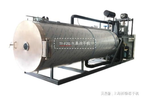 光学科技助力水果冻干机生产线在贵州投产使用